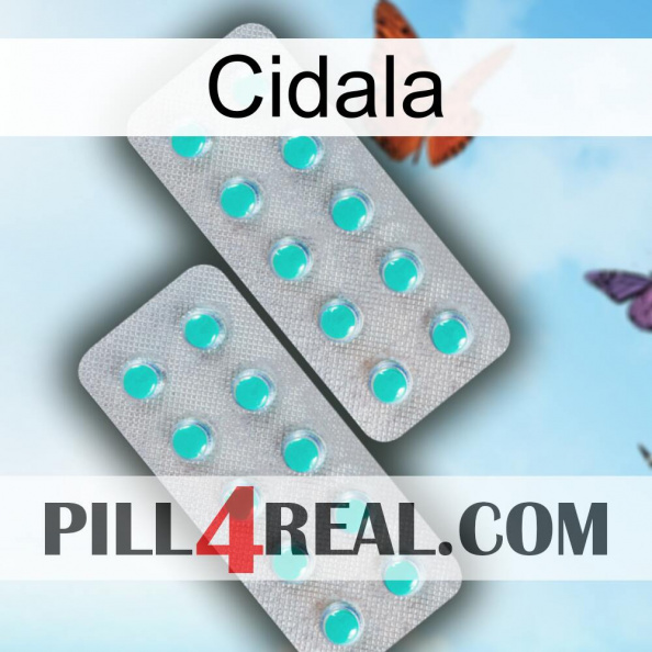 Cidala 29.jpg